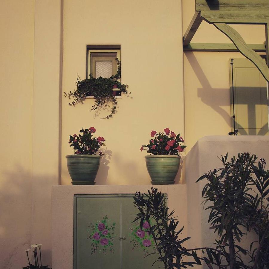 Flower And Crafts - The Eco Nature House Monólithos Exterior foto